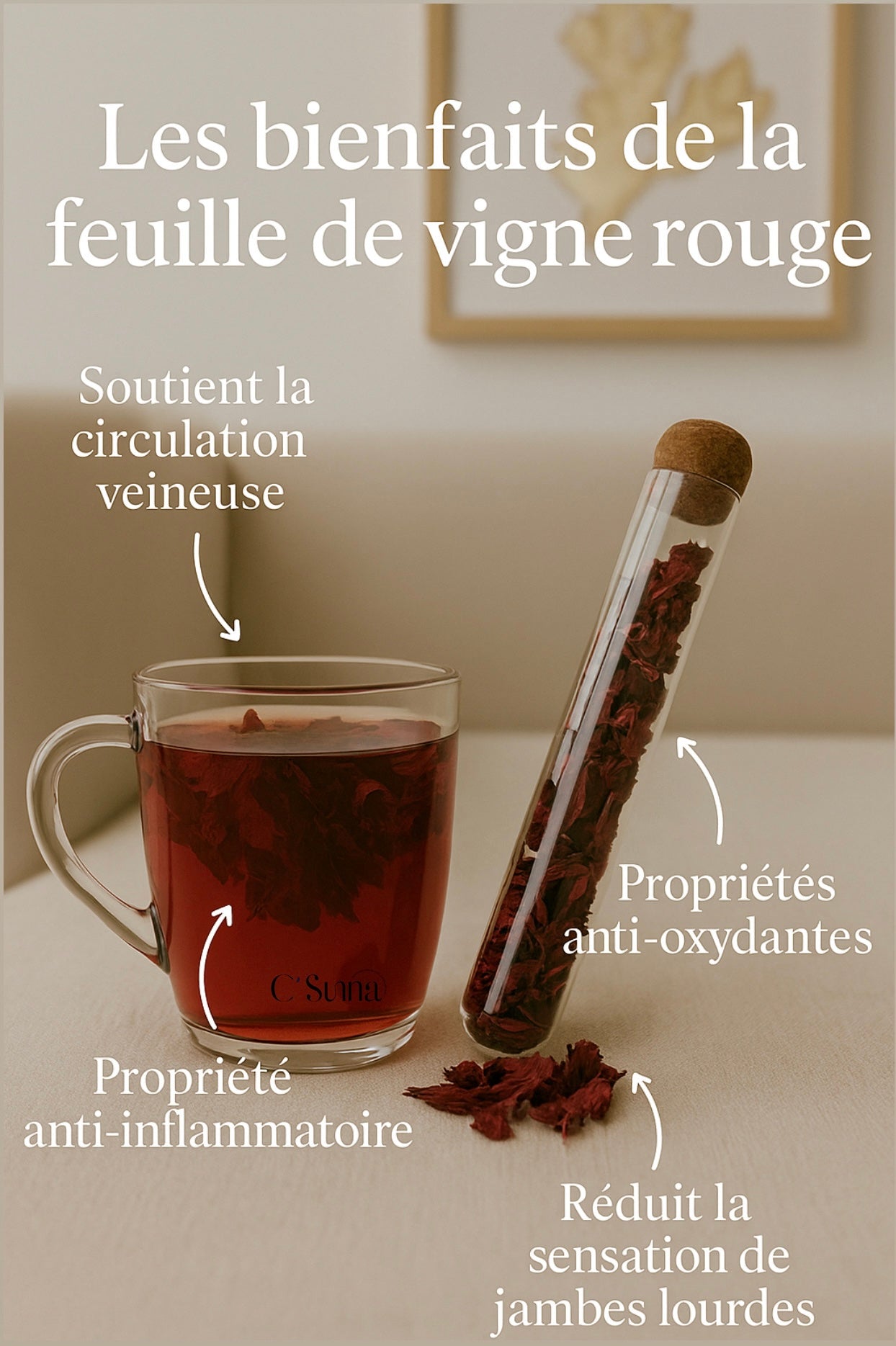 Feuilles de vigne rouge