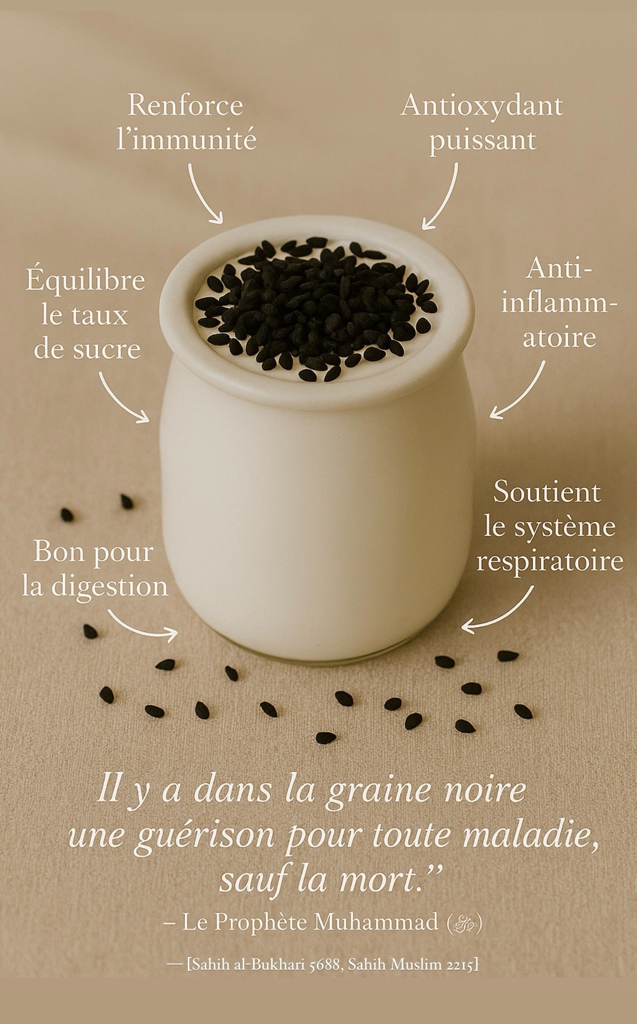 Graine de nigelle Bio