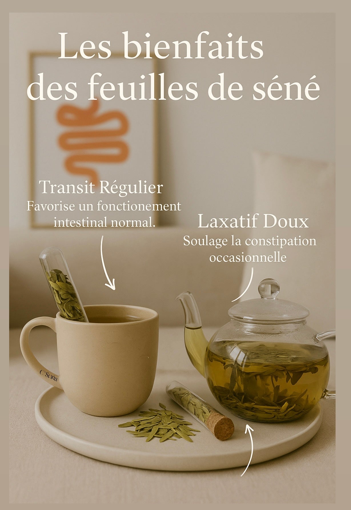Feuilles de Séné